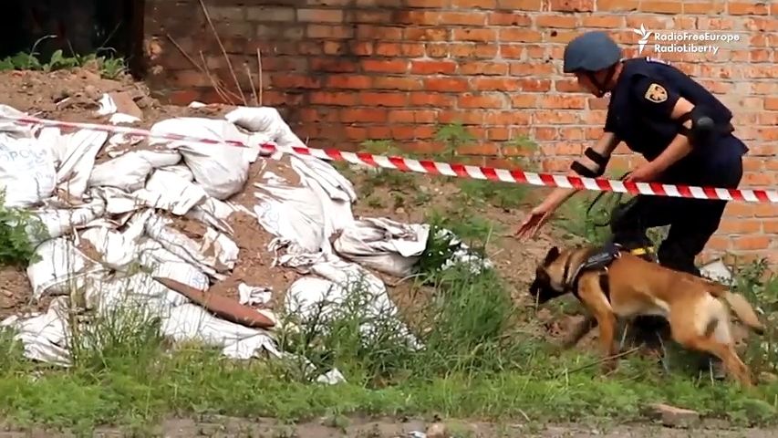 Video: Pro psy je hledání výbušnin hra na slepou bábu, říká ukrajinský psovod